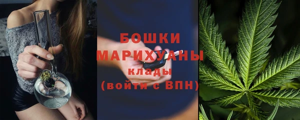 spice Гусиноозёрск