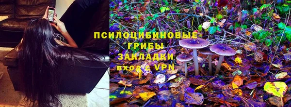 дмт Гусь-Хрустальный