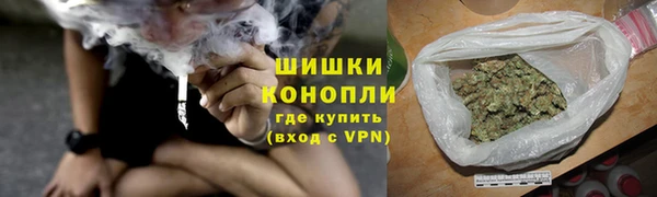 spice Гусиноозёрск