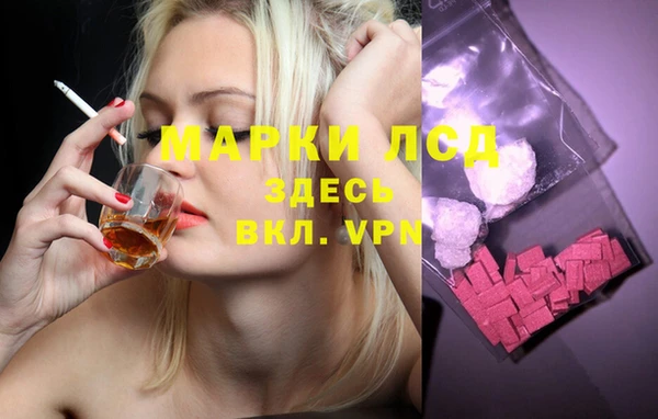 spice Гусиноозёрск